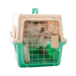 Pets Cage - Image 2