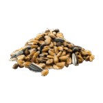 Green Millet Seeds - Image 3
