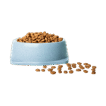 Dry Cat Food - Image 3