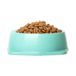 Dry Cat Food - Image 2