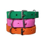Nylon Dog Collar