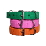 Nylon Dog Collar - Image 3