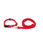Adjustable Dog Collar - Image 3