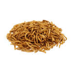 Bird Mealworm Blend - Image 3